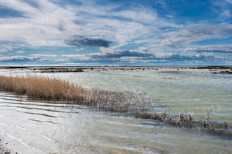 Saltwater lagoon in the Rhone delta