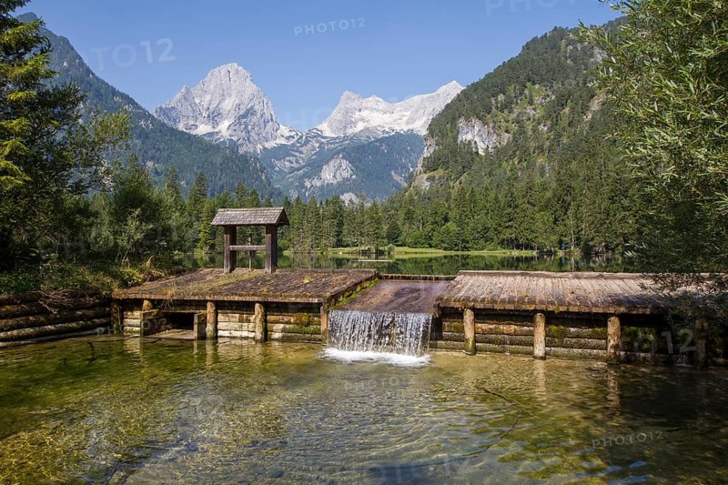 Schiederweiher