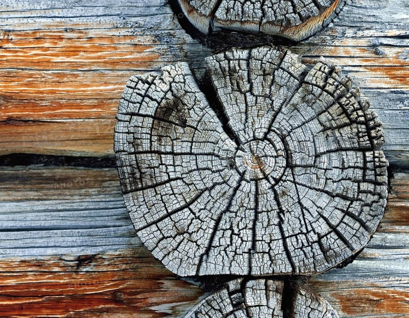 Weathered wooden beams