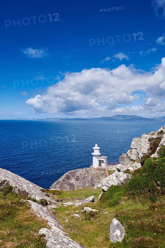 Sheep's Head