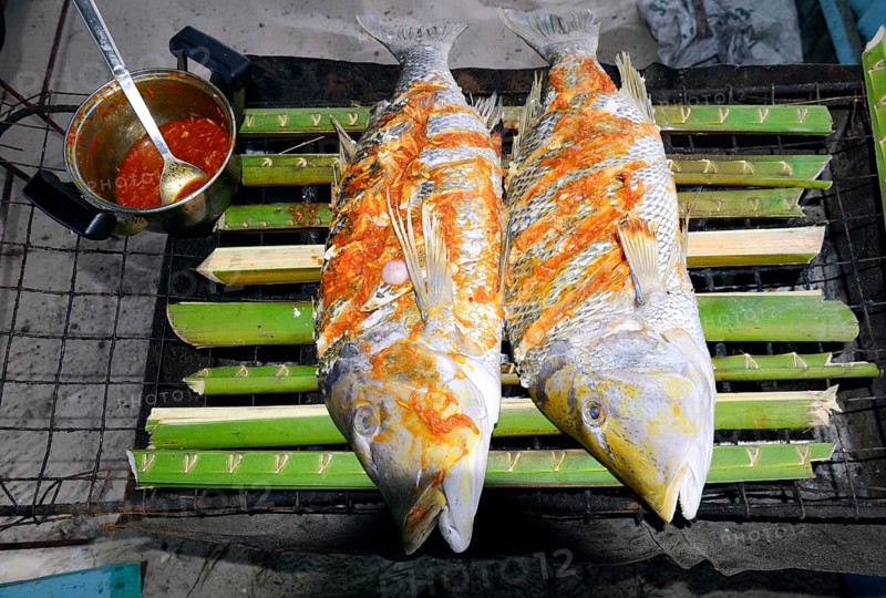 Fish