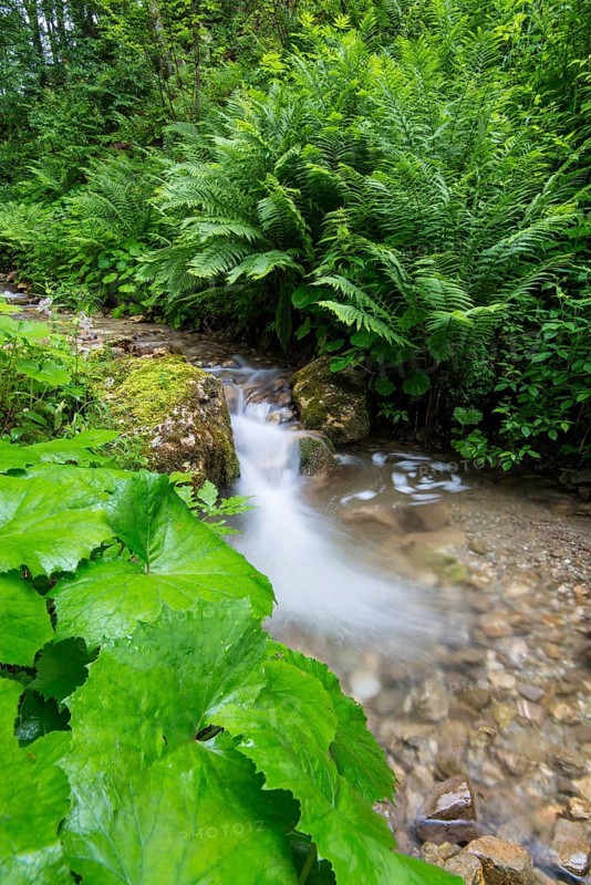 Joserbach stream
