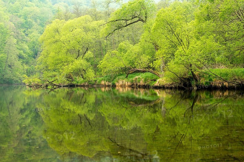 River Thaya