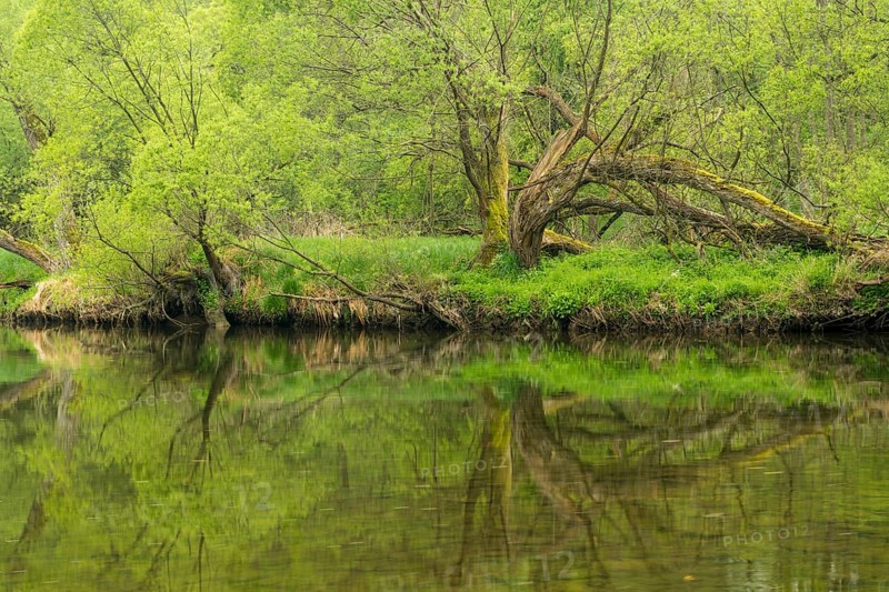 River Thaya