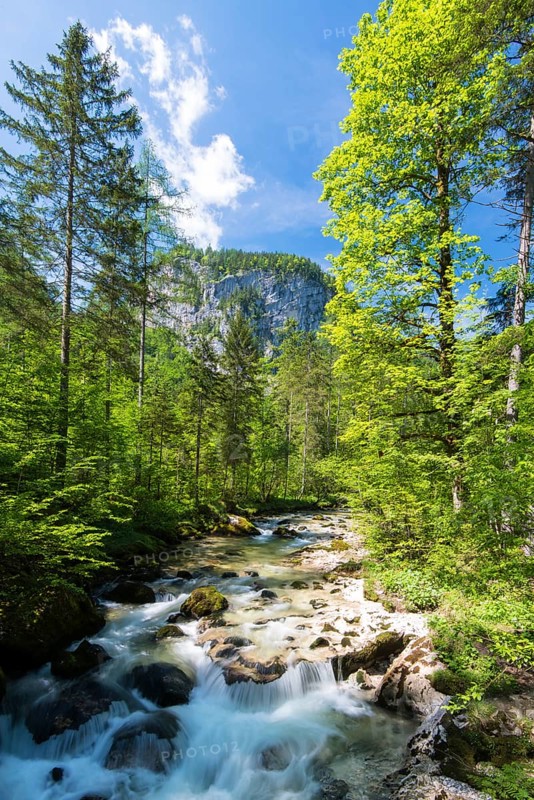 Waldbachstrub