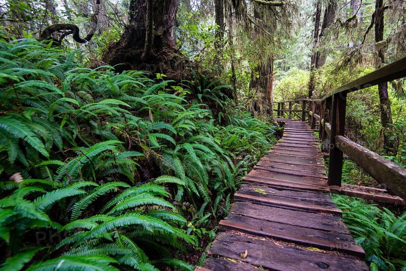 Boardwalk