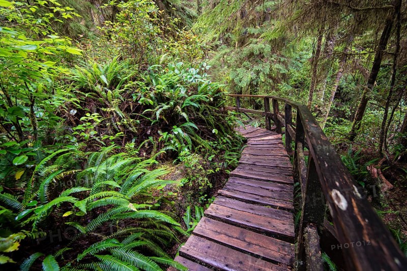 Boardwalk