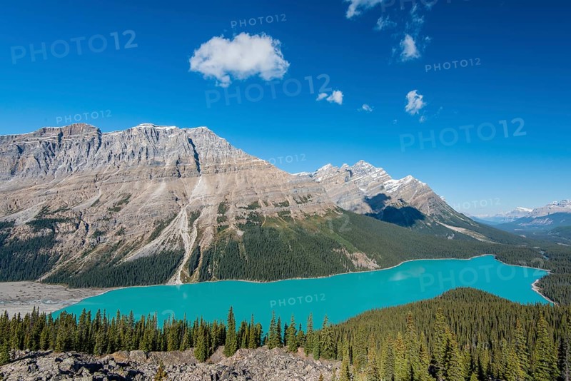 Turquoise glacier Peyto Lake