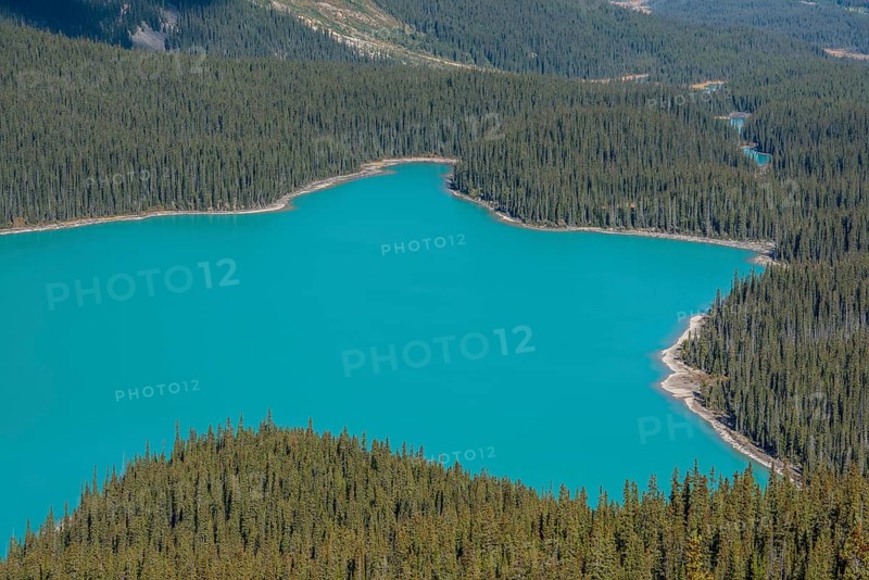 Turquoise glacier Peyto Lake