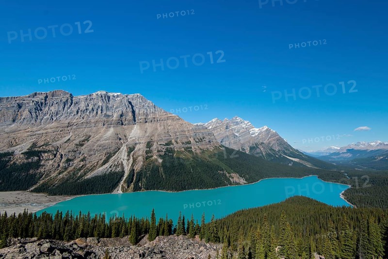 Turquoise glacier Peyto Lake