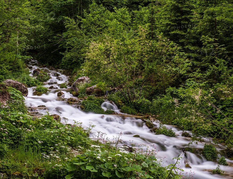 Sources at Steyrursprung