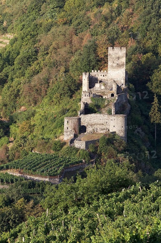 Hinterhaus castle ruins
