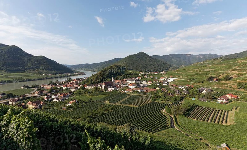 View over vineyards to Spitz an der Donau