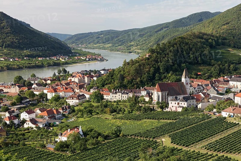 View over vineyards to Spitz an der Donau
