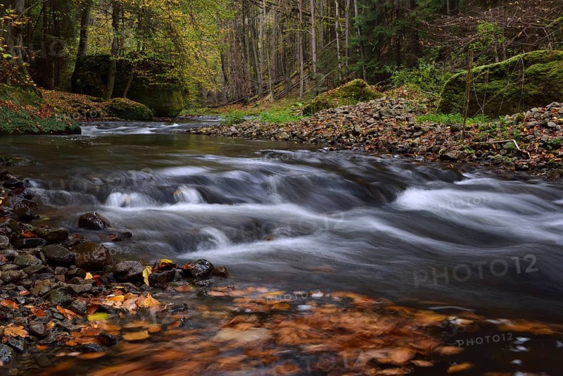 Course of the Polenz river through the Polenz valley