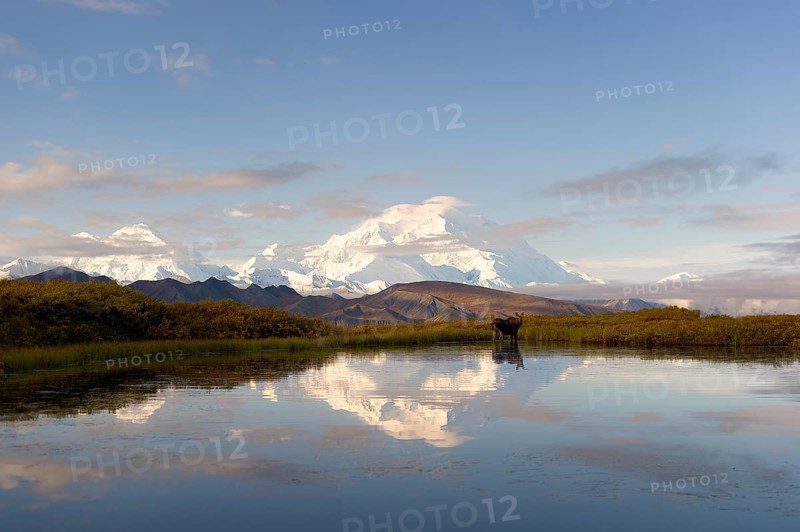 Mount Denali reflected in lake