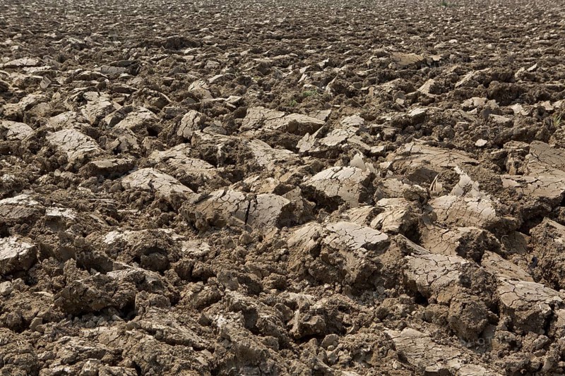 Freshly plowed field in spring