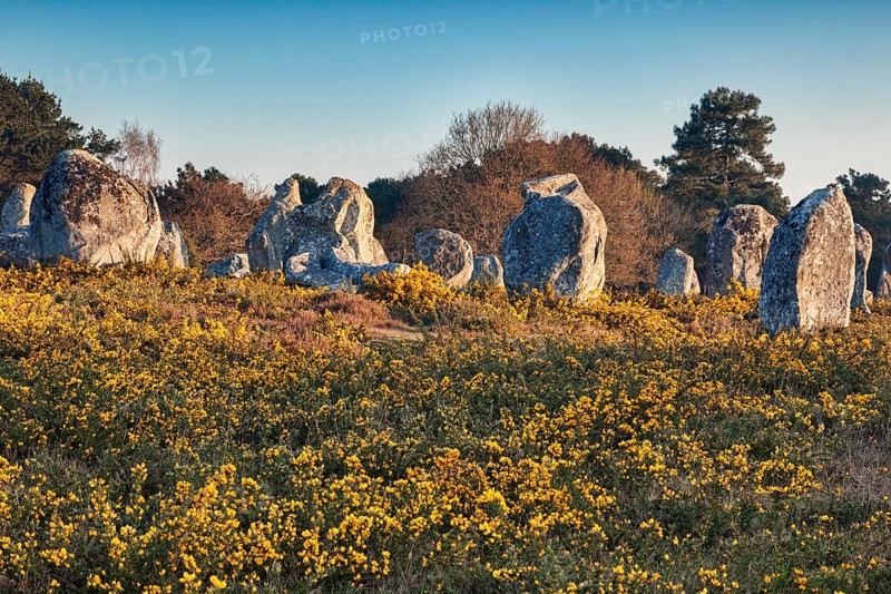 Alignments of standing stones