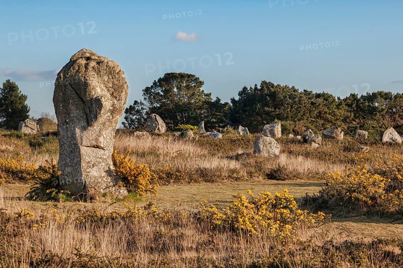 Carnac standing stones or alignments