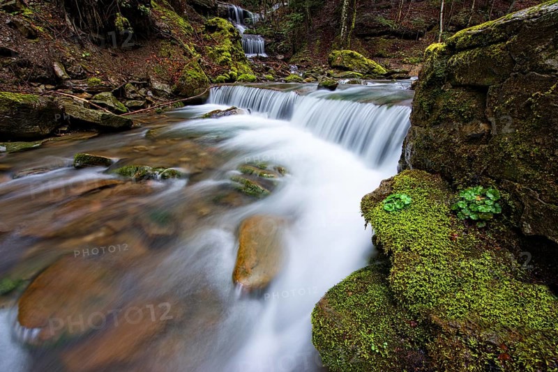 Waterfall in the forest