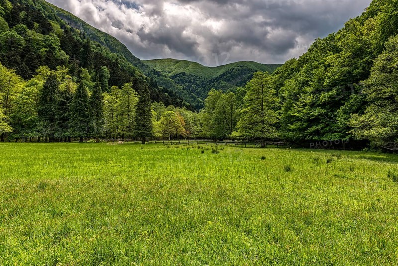La Lama forest