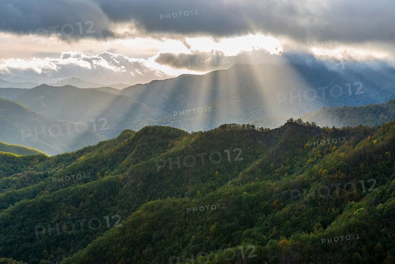 Rays of light on the forests in the Apennines after a storm