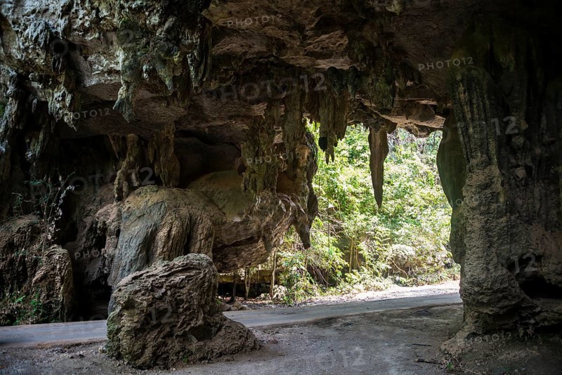 Road through jungle stalactite cave