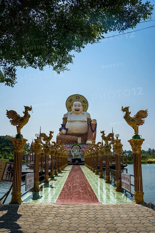 Laughing Buddha