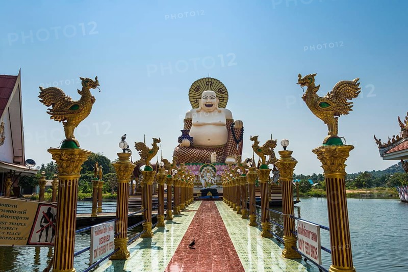 Laughing Buddha
