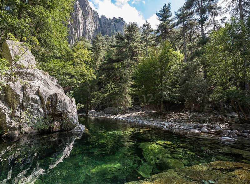 River Tavignano