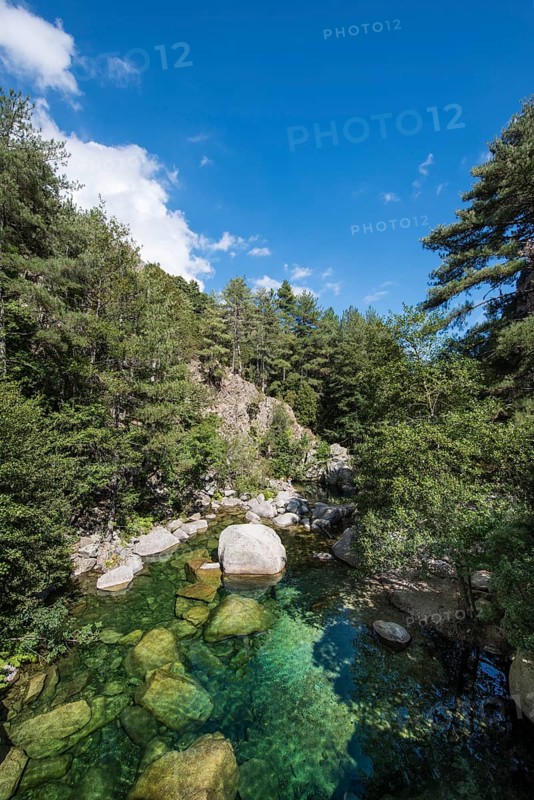 River Tavignano