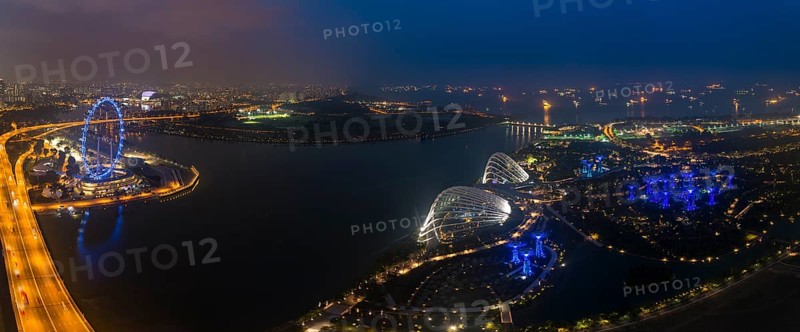 Ferris wheel and Gardens by the Bay
