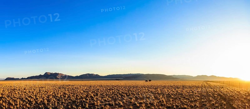 Sunset on Tiras Farm