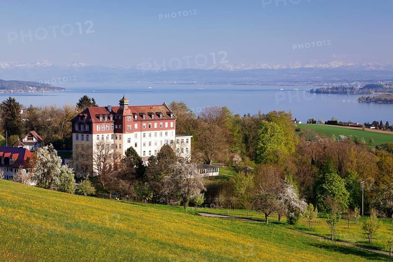 View of Spetzgart Castle over Lake Constance to the Alps