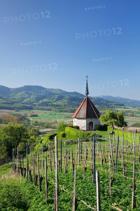 Olbergkapelle chapel