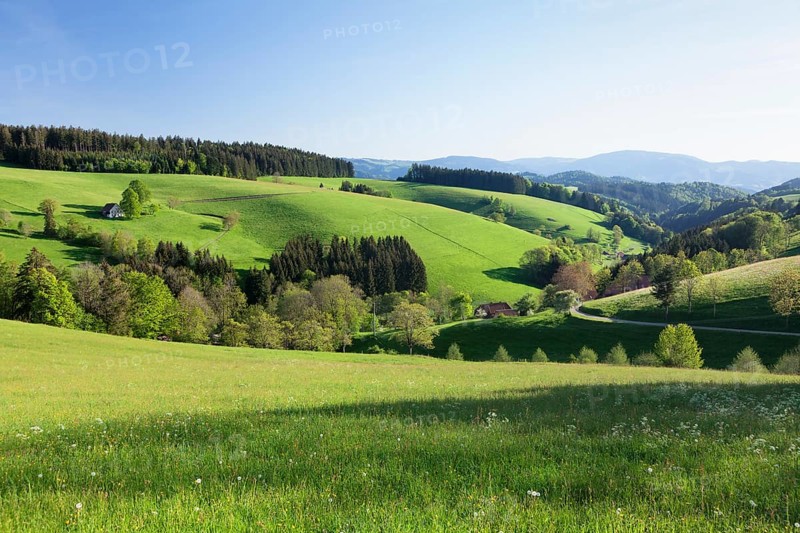 Spring in Glottertal