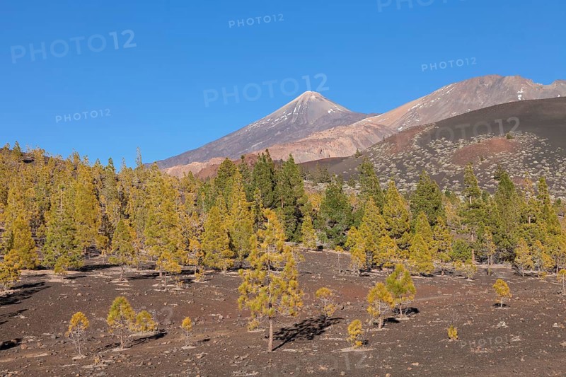 Pico del Teide and Pico Viejo