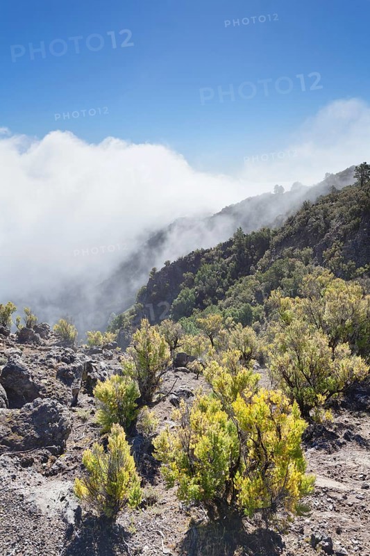 Cumulus clouds at Pico de Malpaso