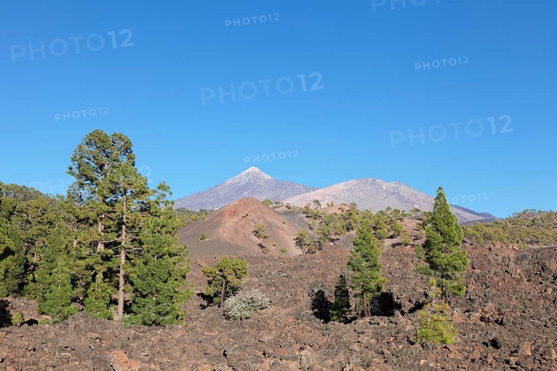 Lava with view of the volcanoes Teide and Pico Viejo