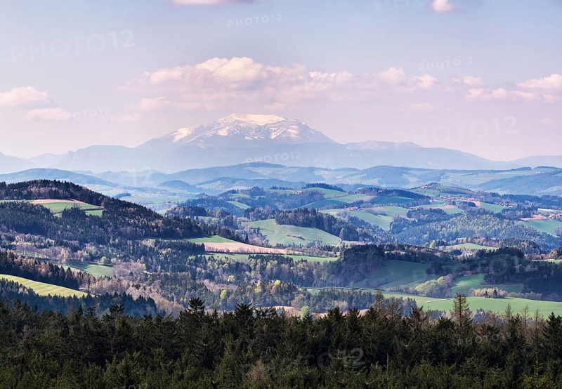 View from the observation tower on Hutwisch