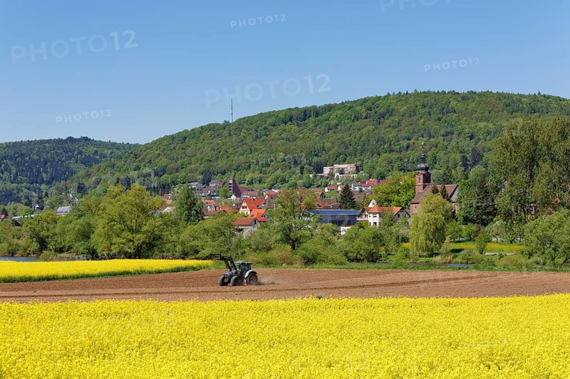 View of Sackenbach