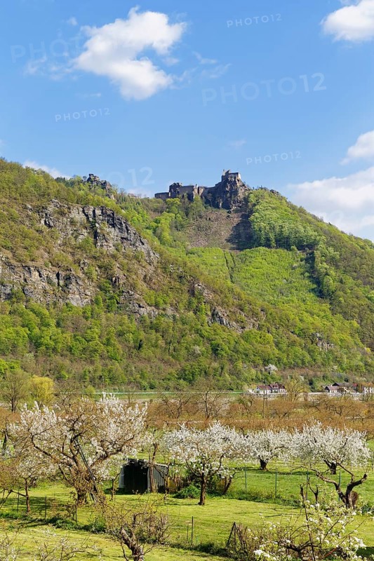 Aggstein castle ruins
