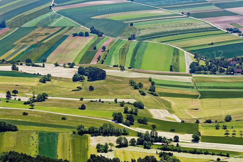 Fields