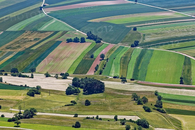 Fields