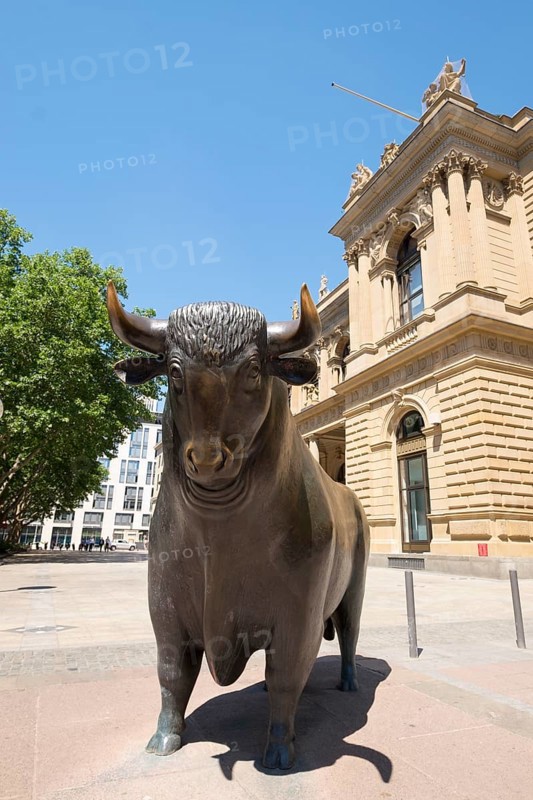 The bull of the sculpture Bull and Bear at the stock exchange