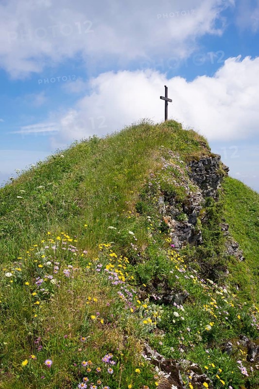 Summit cross and mountain flowers on Hochgern