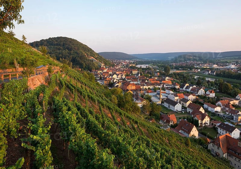 Vineyard on Schlossberg or Castle Hill