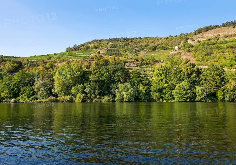 Grainberg and Kalbenstein with vineyards on Main river