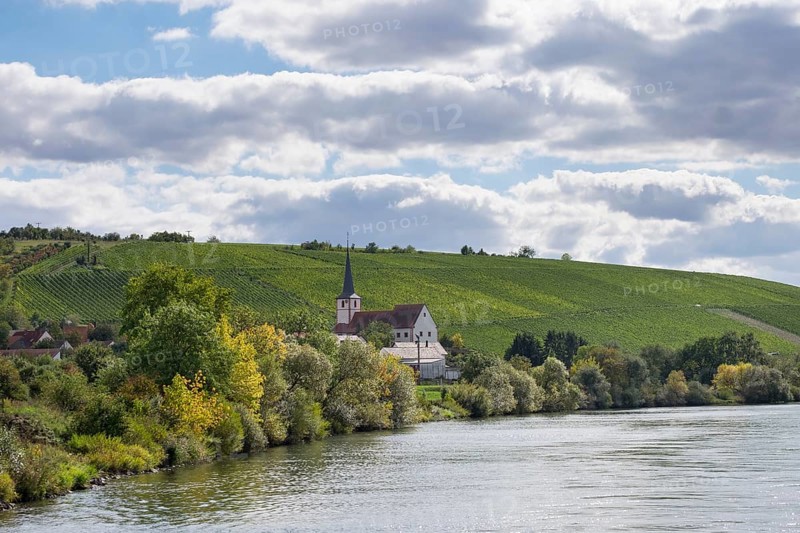 Stammheim am Main with vineyards at Stammheimer Eselsberg
