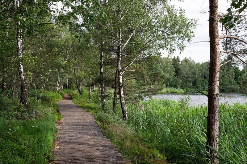 Riedsee lake in Wurzacher Ried